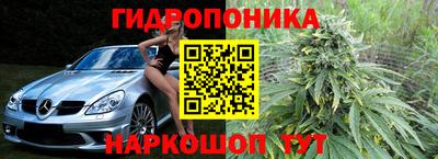 шишки Волжский