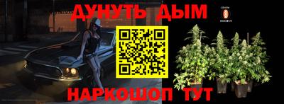 шишки Волжский