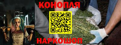 шишки Волжский