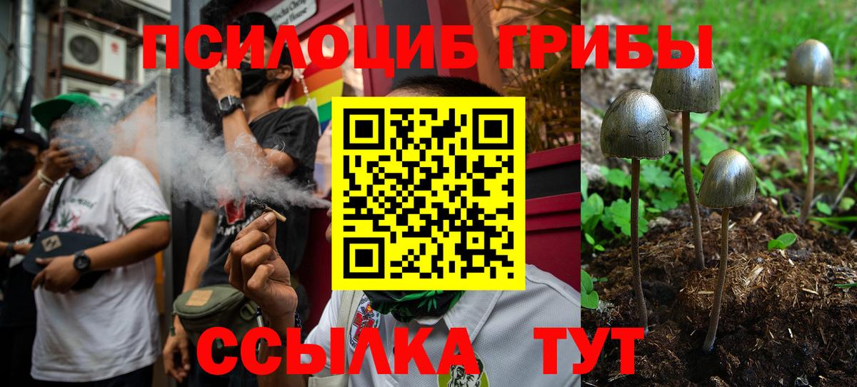 Псилоцибиновые грибы Psilocybine cubensis  Галлюциногенные грибы мухоморы  Торжок  Вход с VPN 