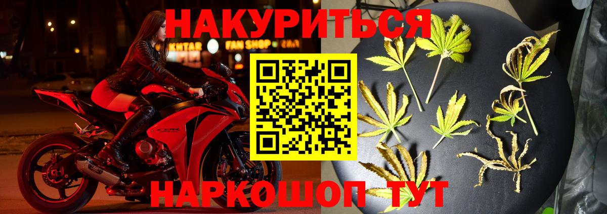 Канабис гибрид Торжок